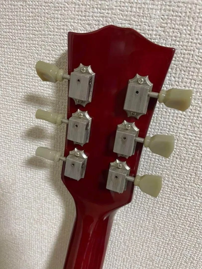 Brian by Bacchus Les Paul Live Road Rare From Japan