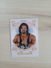 2021 WWE Topps Heritage Allen & Ginter #8 Diesel/Kevin Nash