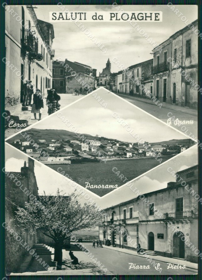 Sassari Ploaghe Saluti da Foto FG cartolina ZKM7982