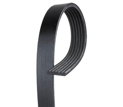 Serpentine Belt-VIN: K Dayco 5060485 6 RIB SERPENTINE