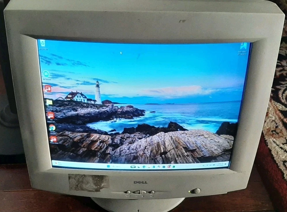 Dell 16-18.9 Inch Computer Monitors for sale | eBay