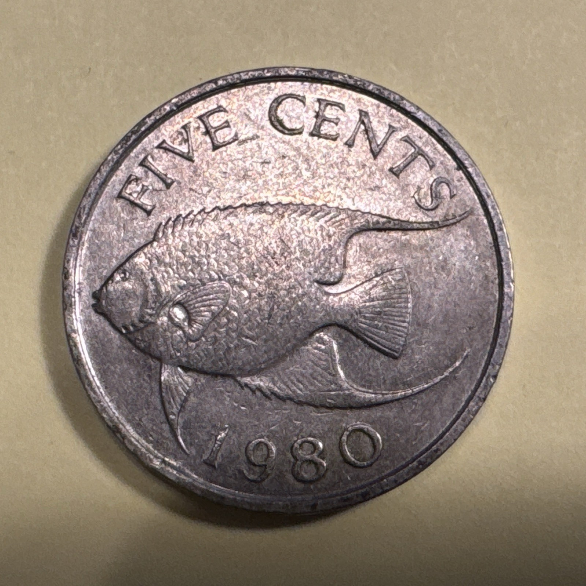 1980 Bermuda 5 Cent Coin. Avg Circ. condition. Nice. Queen Eliz
