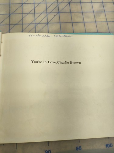 3 Bücher Peanuts Schatzkammer /Du bist verliebt Charlie Brown / All das und Snoopy auch - Bild 11 von 17