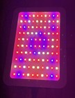 Yitatech LED Grow Light Model FRGDGL-0002  Plants Veg & Flower Grow Light 12x8 — photo 7