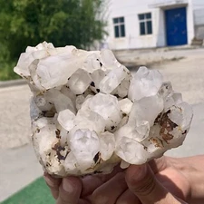 2.48LB Natural White Crystal Backbone Cluster Black Mineral Mud Specimen