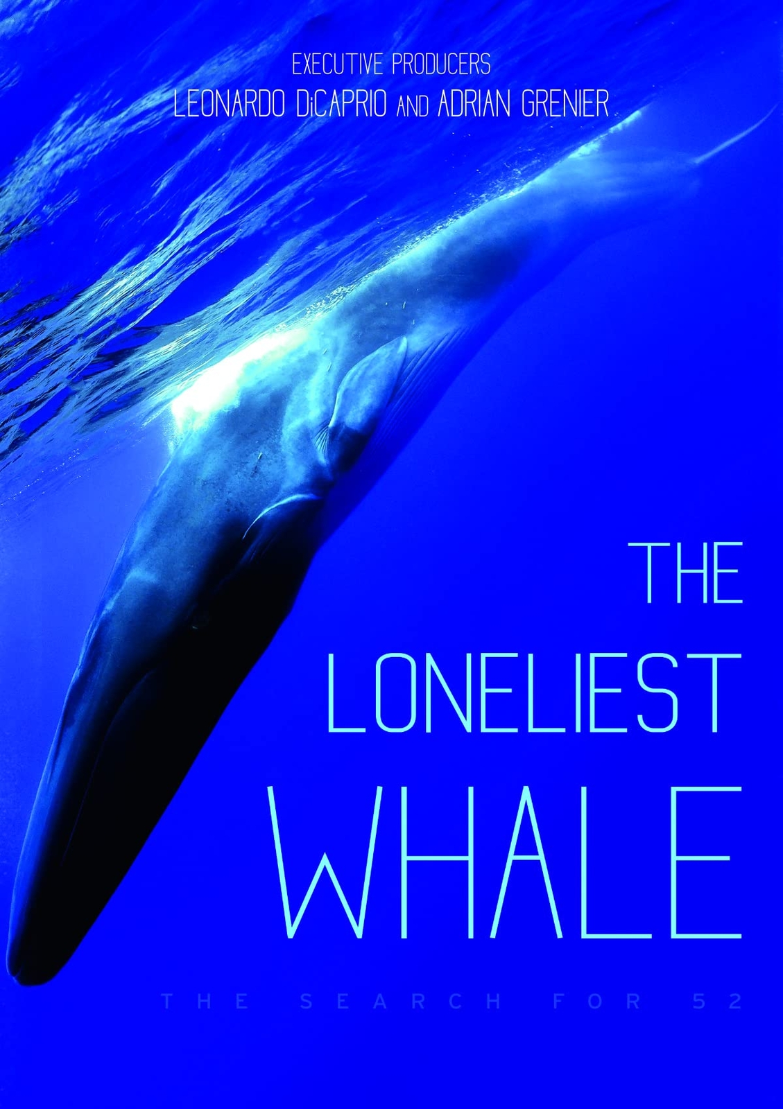 The Loneliest Whale: The Search for 52 (DVD) Joshua Zeman