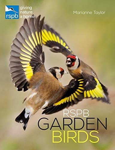 RSPB Garden Birds-Marianne Taylor - Image 7