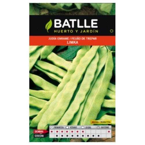 Batlle Gartenbau Samen - Limka Zwergbohne (100g) - Bild 4 von 5