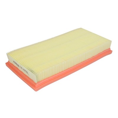 Luftfilter PURRO PUR-PA0022