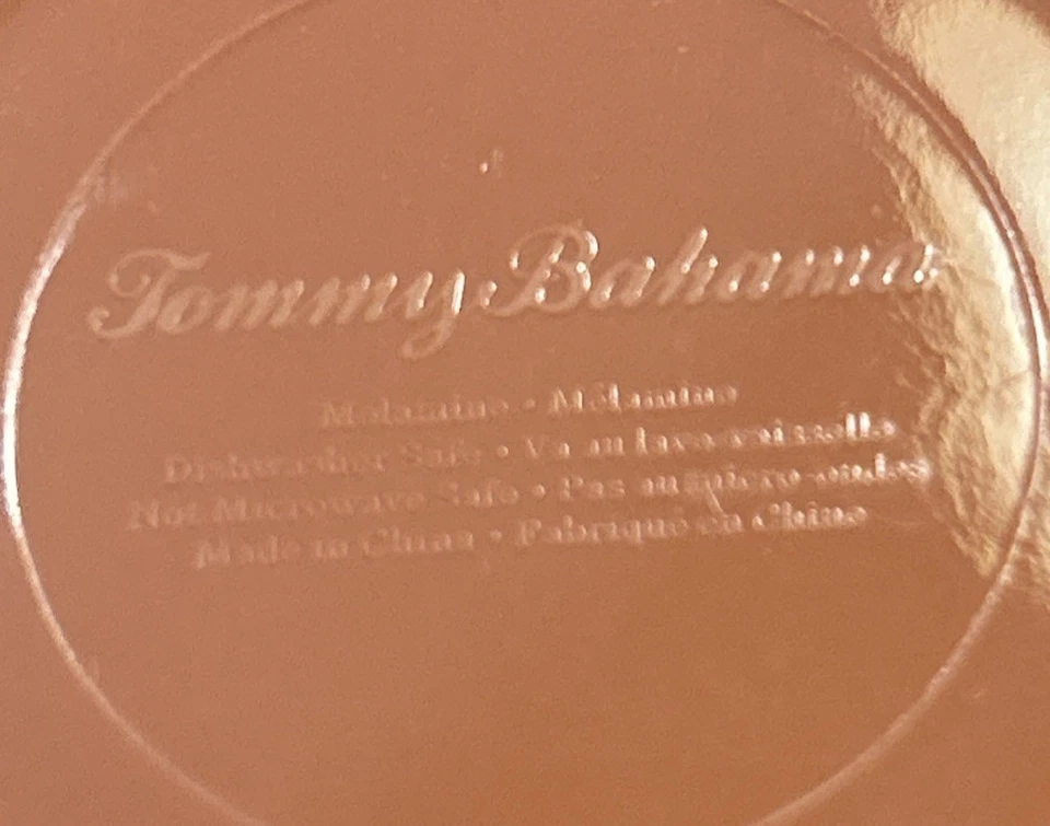 JUEGO 4 cuencos de salsa/aperitivos Tommy Bahama melamina MEDALLÓN AZUL azulejo terracota Foto 3 de 4