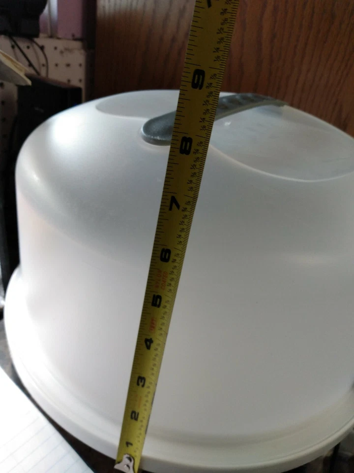 Recipiente para bolo esterilizado. (Cm) - Imagem 4 de 4