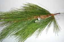 - Pine Branch Cache Container for Geocaching w Log Book Free Shipping