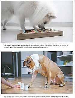 Thumbnail - Strodtbeck: Der Alternde Hund Verhalten-medizin-biologie