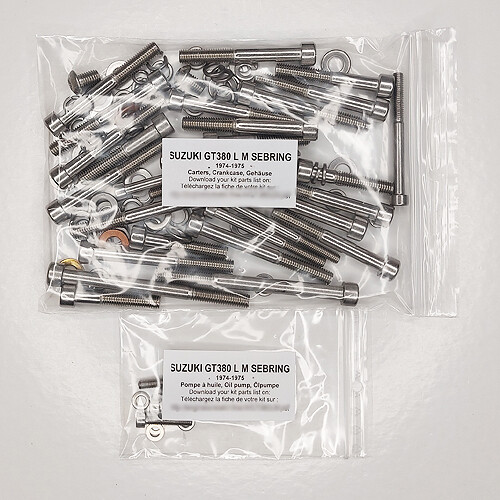 Vis Allen carter Suzuki GT 380 pour stopper la rouille moteur