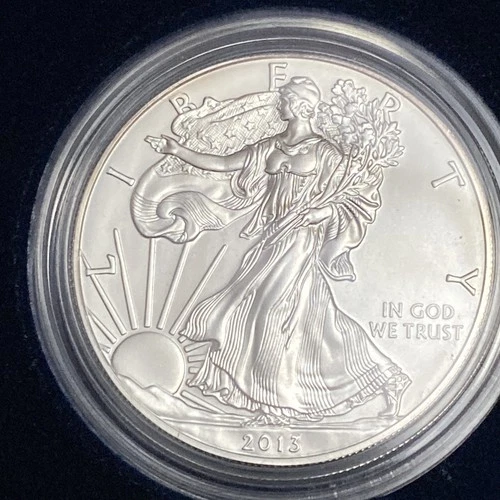 2013-W American Silver Eagle Burnished 1 oz .999 US Mint $1 Coin OGP Box & COA