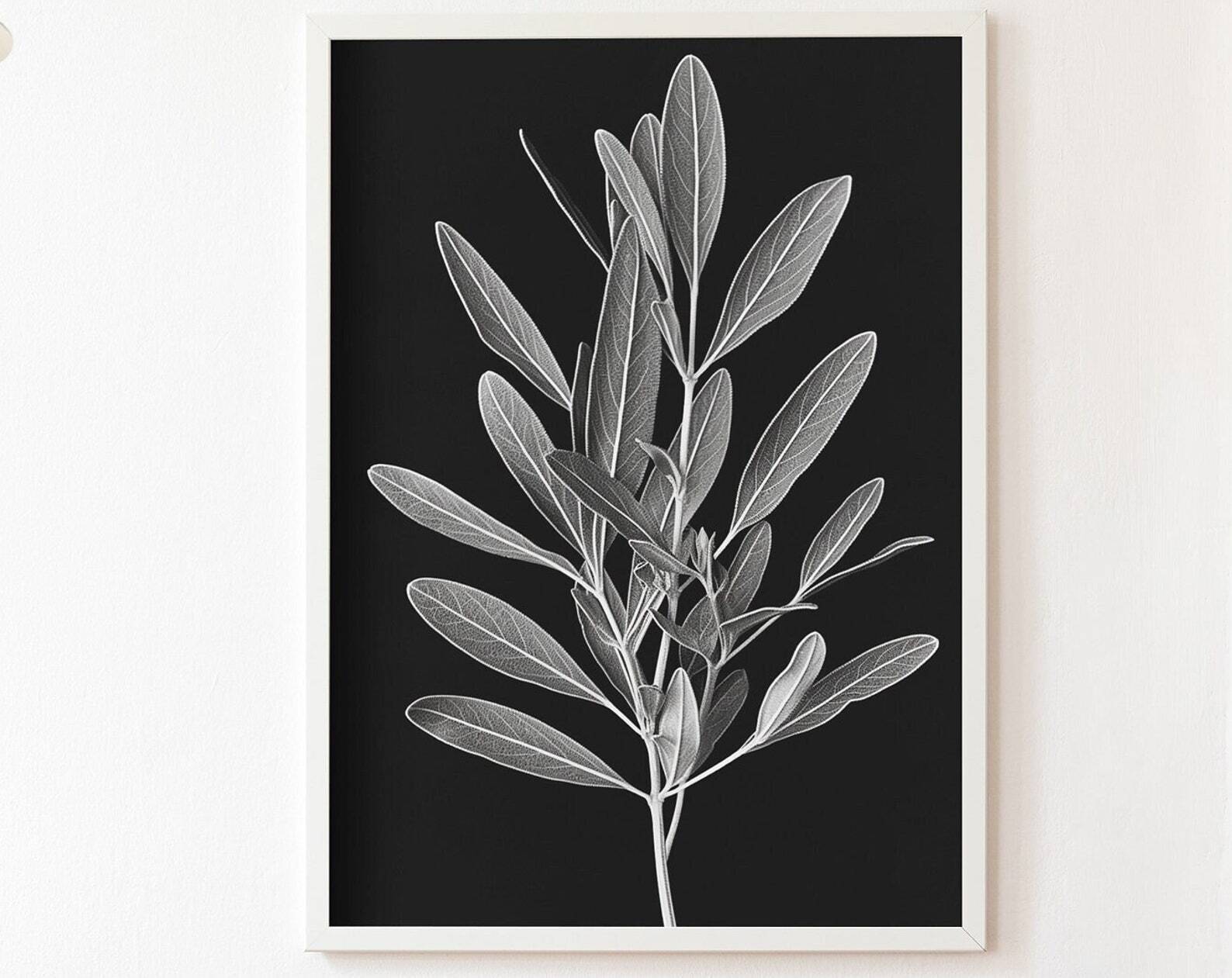 Sage Illustration Pencil Drawing Print Botanical Poster Print At Home Wall Art