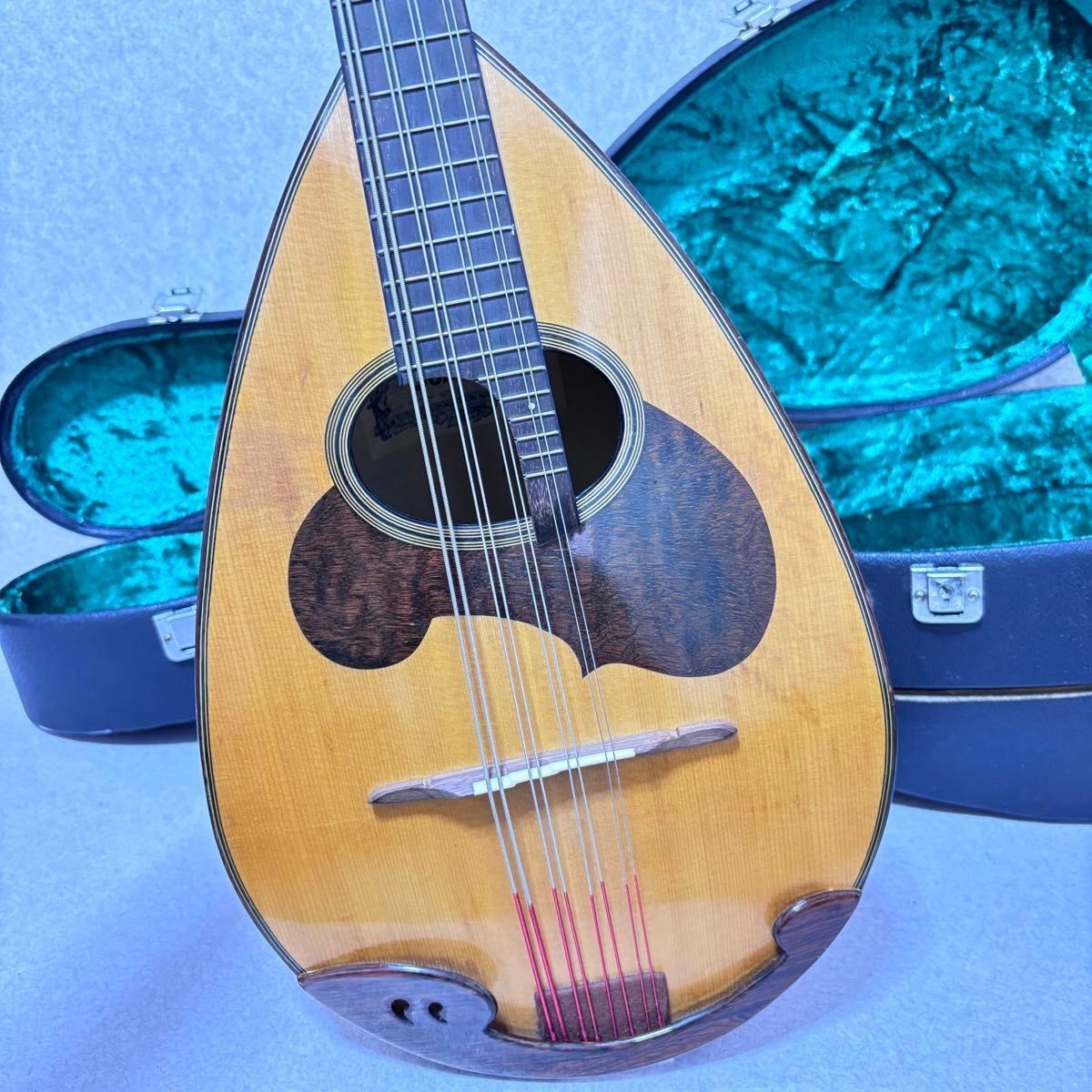 SUZUKI MD-4 Mandola 8-String Acoustic Instrument Hard Case Tested from ...