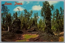 Lava Trees c1968 Kapoho Puna Hawaii c1968 Chrome Postcard