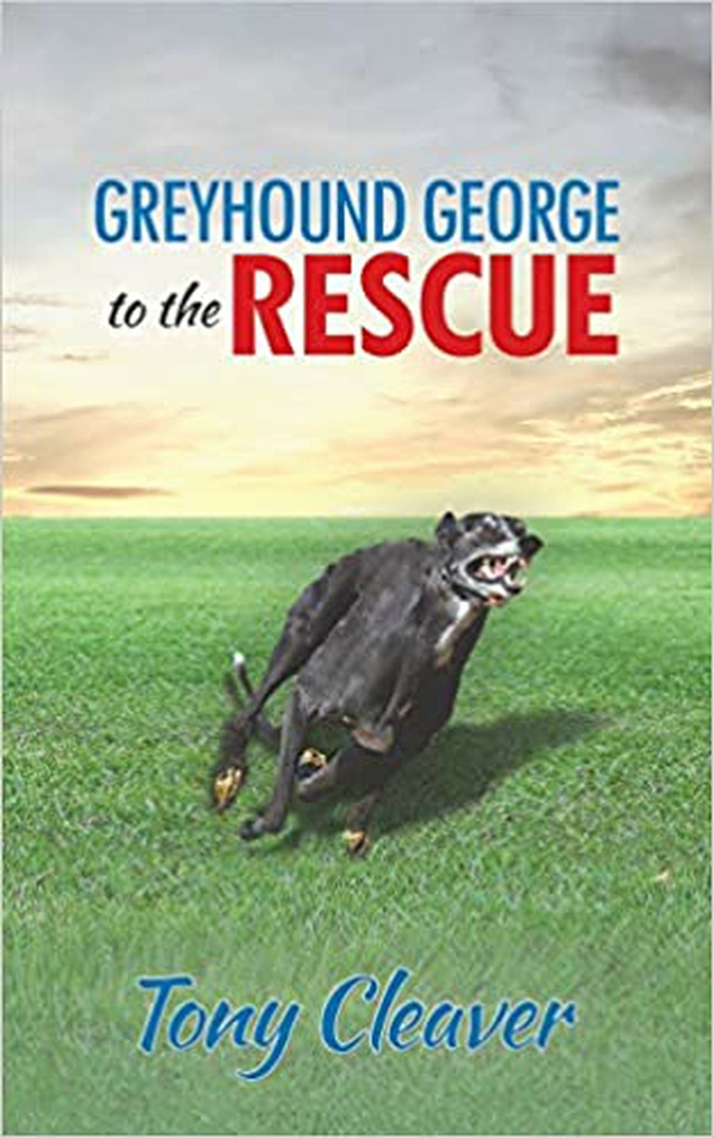 Greyhound to The Rescue ISBN 1528909348 Isbn13 9781528909341
