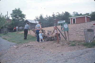 1970s Man Woman Toddler Feeding Sheep Petting Zoo Vintage 35mm Slide