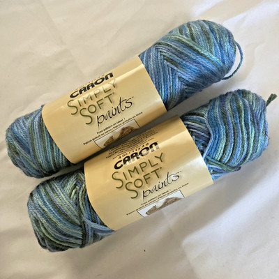 2 Skeins Caron Simply Soft Paints Acrylic Yarn Green Blue 4 Ounce X2