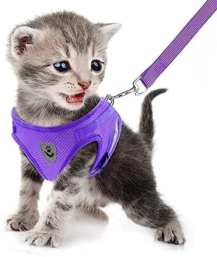 Dog Harness and Leash Set for Walking, Soft Mesh Adjustable Easy Control