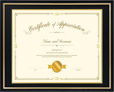 Elegant 16x20 Diploma Frame for 14x17 Certificate with Double Mat, Black  Gold