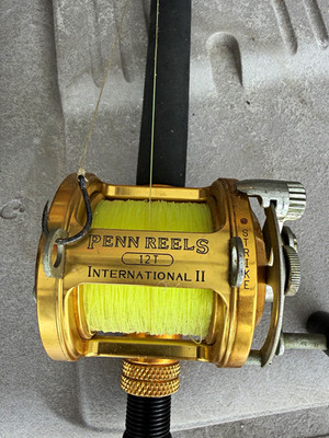 PENN International II 12T Conventional  Gold/Black