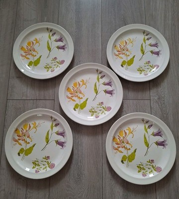 Royal Worcester Meadow Clover Honeysuckle Campanula 5 x Speiseteller Vintage
