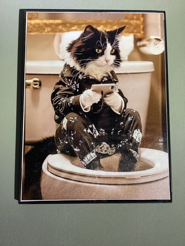 Framed 12x16 picture of black & white cat in the bathroom checking cell phone