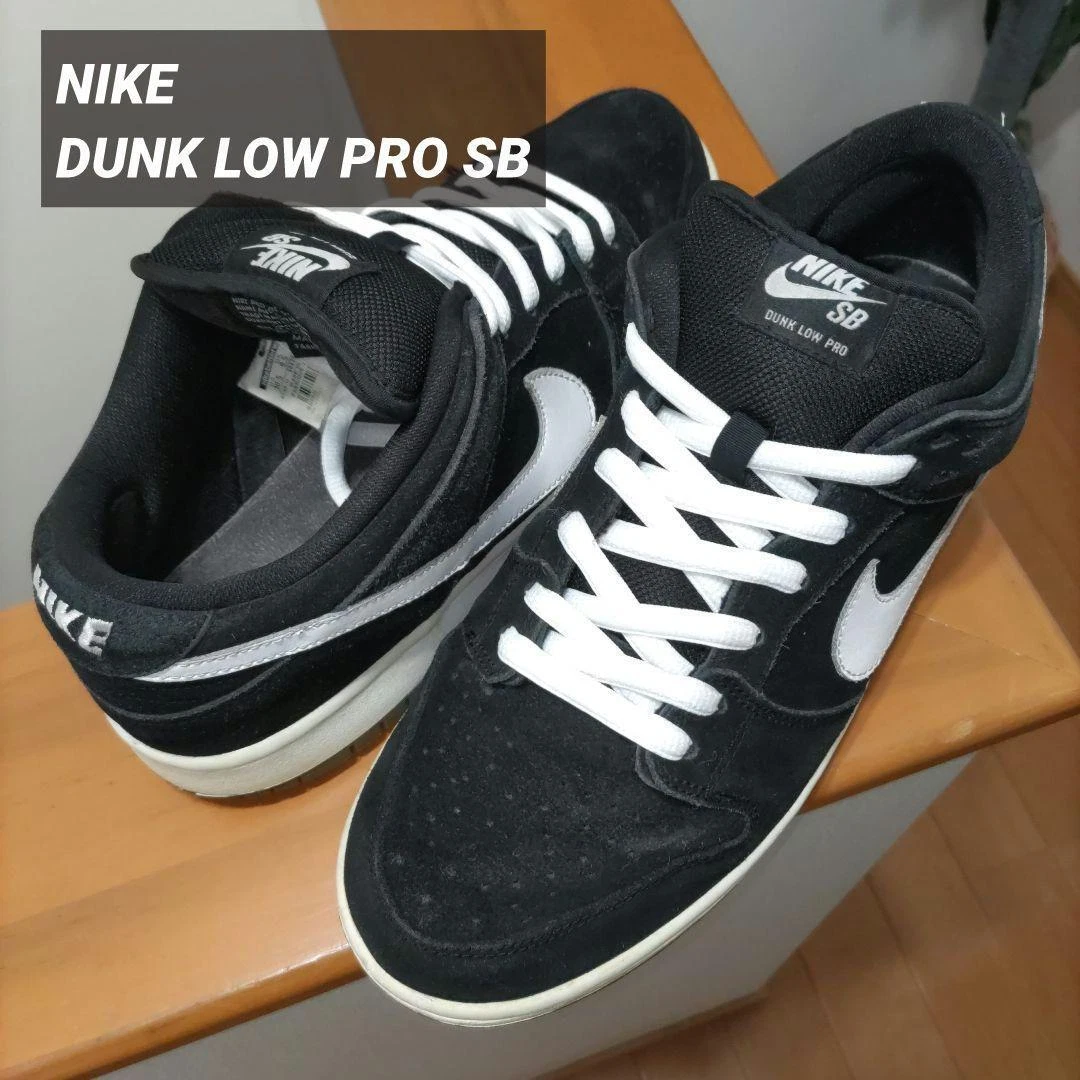 Nike sb down low pro sale