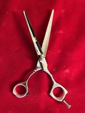 Barber Shears 6.0  