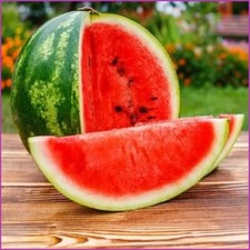 Türkische Wassermelone Adana 10 Samen Wassermelone Samen Melone Samen