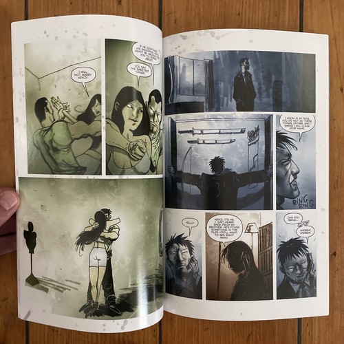 Espada manchada de sangre #1 (IDW 2005) Dan Wickline, Ben Templesmith - En muy buen estado - Imagen 6 de 7