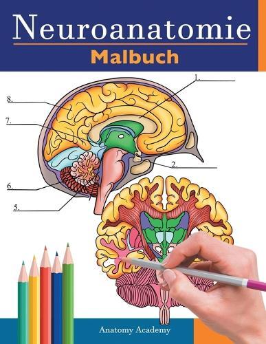 Anatomy Academy Neuroanatomie Malbuch (taschenbuch) (us Import)
