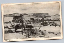 Birds Eye View Of Lindley New York NY c1910 Divided Back Vintage Postcard