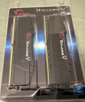32GB (2x 16GB) G.Skill RipJaws V schwarz DDR4-3200 DIMM CL16-18-18-38 Dual Kit