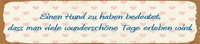 Blechschild 46X10 Cm Hund Haben Bedeutet Deko Geschenk Schild