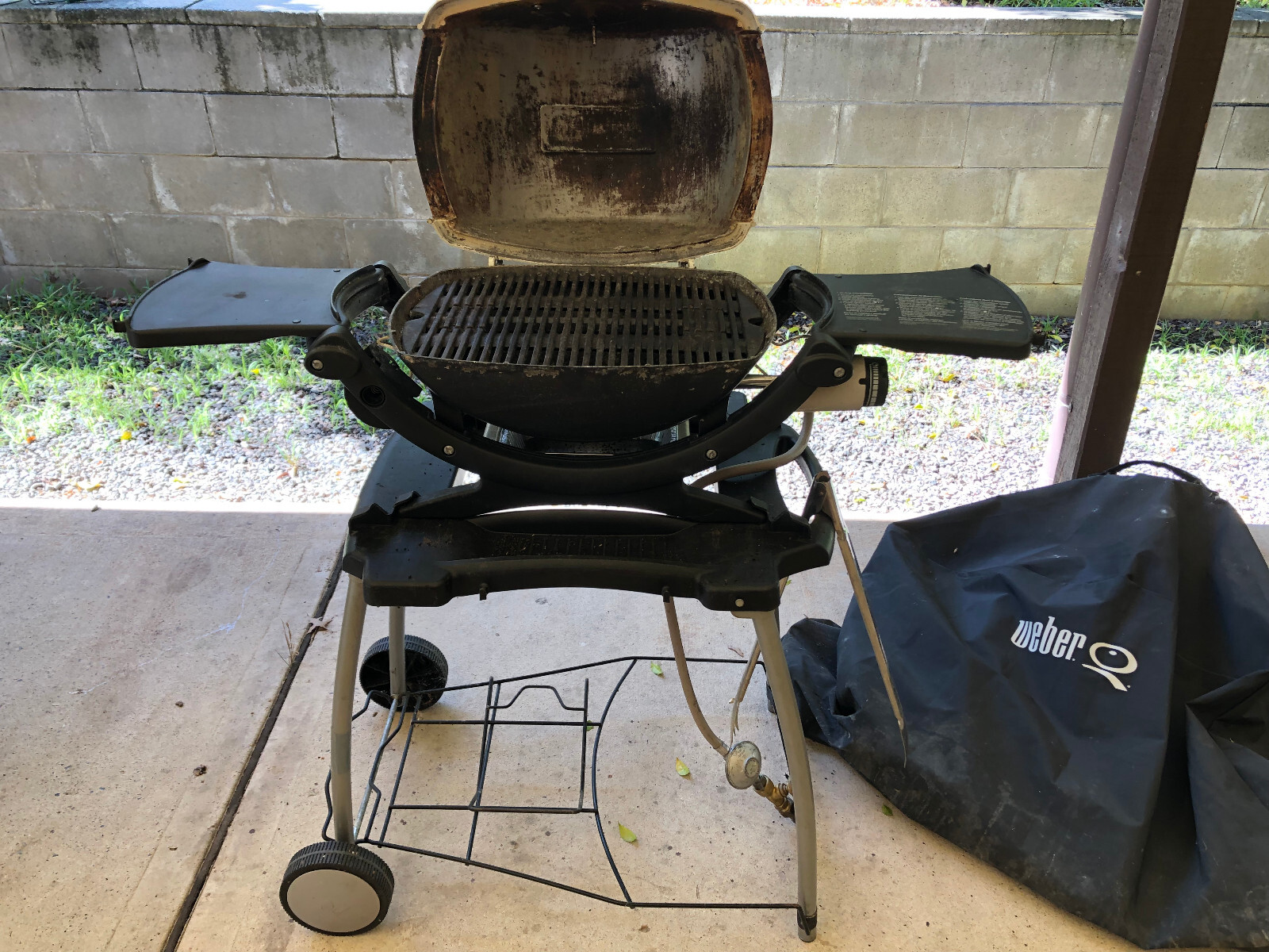 er Family BBQ Baby Q 100 plus Portable Cart and Cover Backyard or