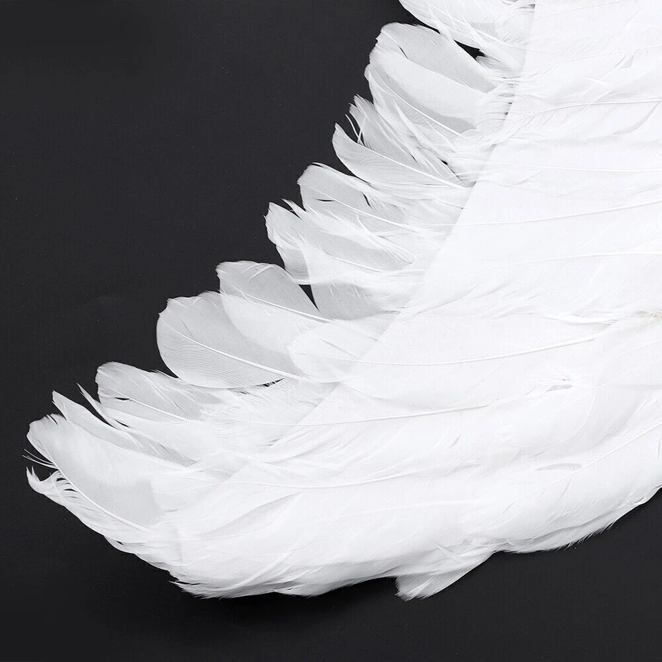 Decoración distintiva de ala de plumas para actuación de escenario de fiesta Foto 4 de 4