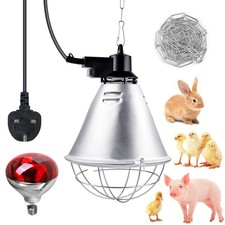 250W Infrared Heat Lamp for Poultry w/2.5m Cable & 2m Hanging Chain for Chickens