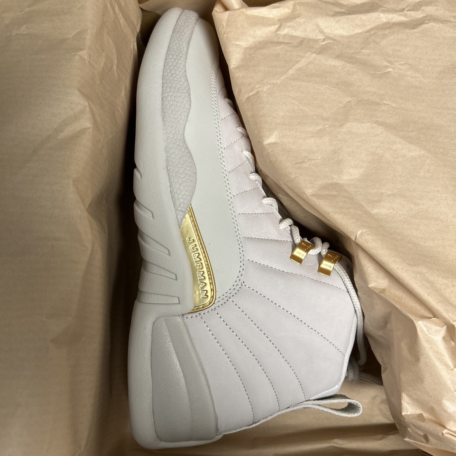 Jordan Retro 12s Phantoms