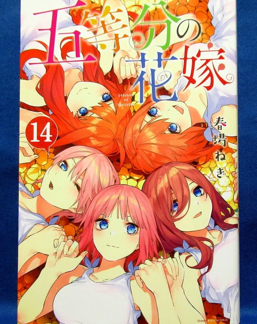 What is the meaning of Go-Toubun No Hanayome? - Question about Japanese