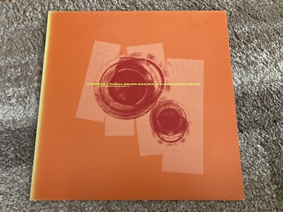 Designer   Vandal / Larson 12'' Vinyl Soul Static Sound records