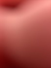 Bild 9 von 13