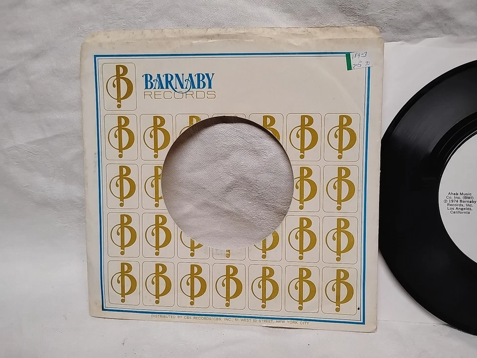 Ray Stevens The Streak 45 RPM Barnaby Records B-600 1974 - Image 3 of 4