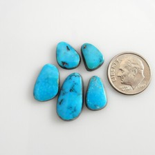 Natural Morenci Turquoise cabochons cabs Gemstones gems stones m420