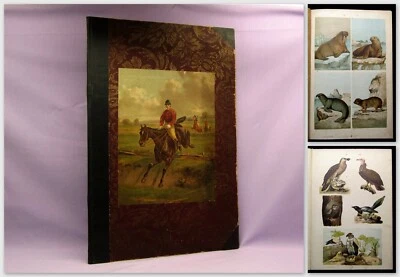 Private Zusammenstellung 36 Chromolithografie Tafelband auf 18 Bll. Folioformat - Bild 1 von 4