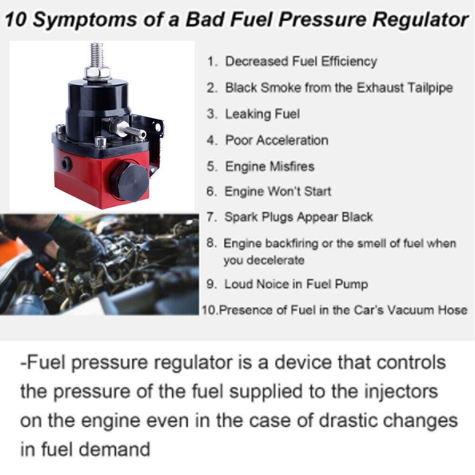 Universal Adjustable Fuel Pressure Regulator Kit 100psi Guage AN6
