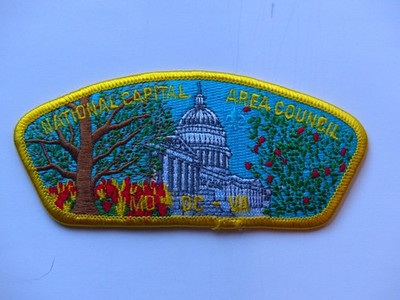 Unused Vintage National Capital Area Council DC MD VA Boy Scout CSP Capitol Dome